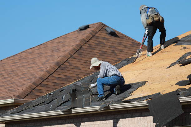 Best Roof Coating and Sealing  in Surgoinsville, TN